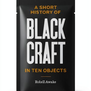 Princeton Press Black American Art History Kindle eBook 119‑Page-0
